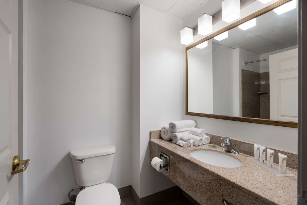 Suite, 1 Bedroom, Non Smoking - Photo 4