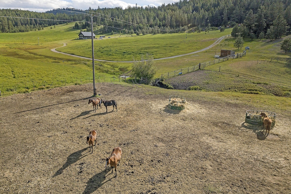 Frontier Hytte på Eden Valley Ranch, Billede 32