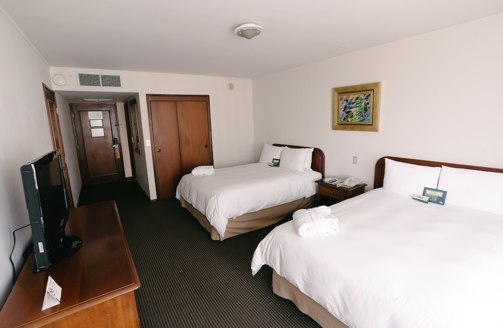City Double Room - Photo 11