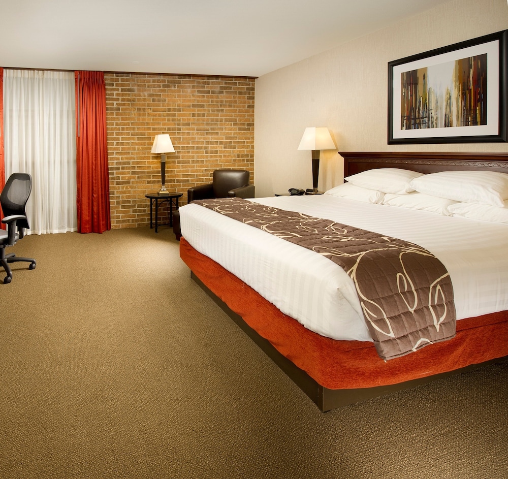 Standard Room, 1 King Bed - Photo 1