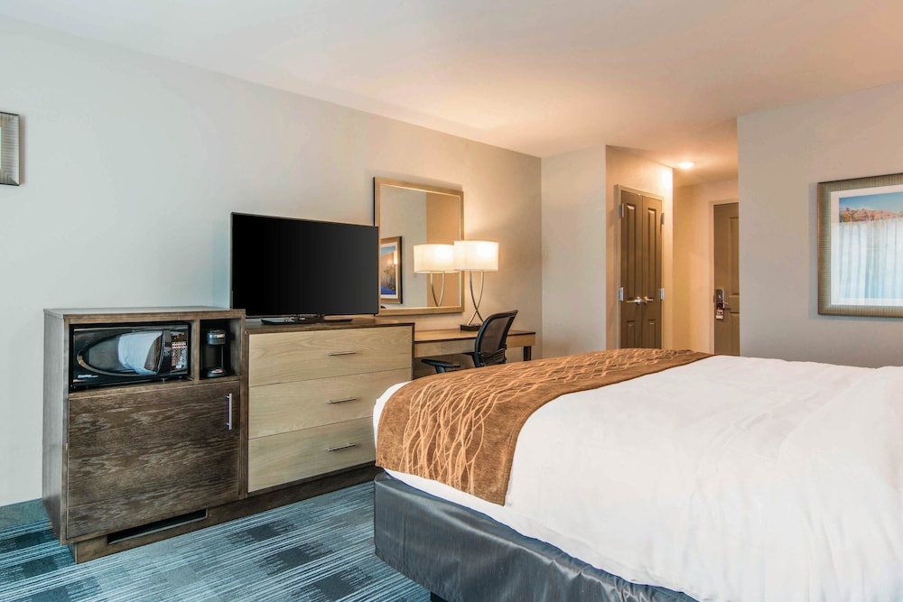 Room, 1 King Bed, Accessible, Non Smoking photo 2