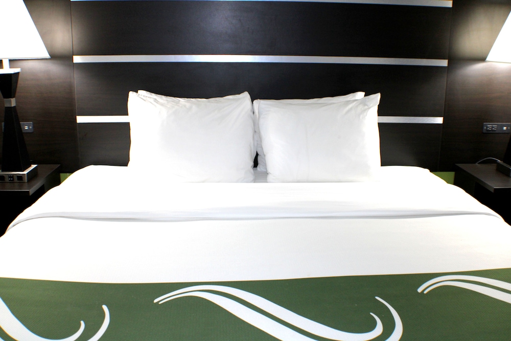 Studio Suite, 1 King Bed with Sofa bed photo 2