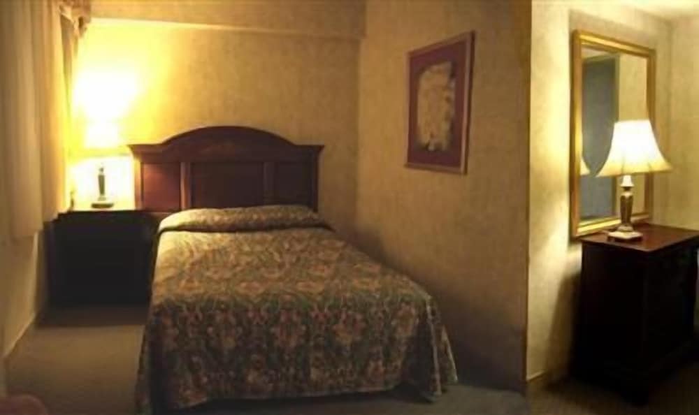 One Bedroom Suite photo 2