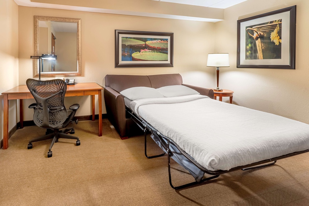 One King Bed Junior Suite photo 2