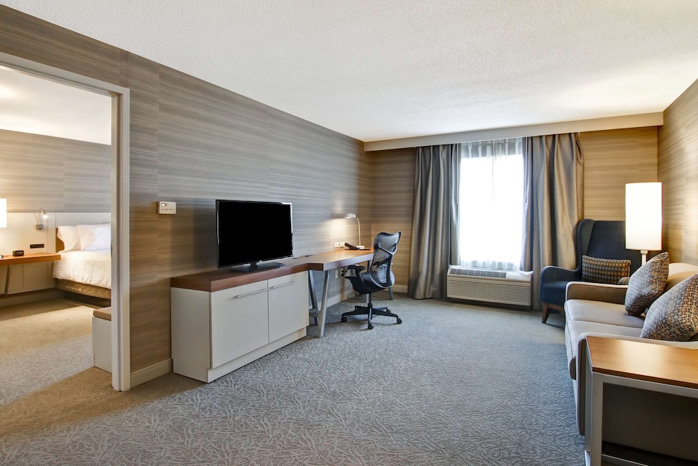 Suite, 1 King Bed