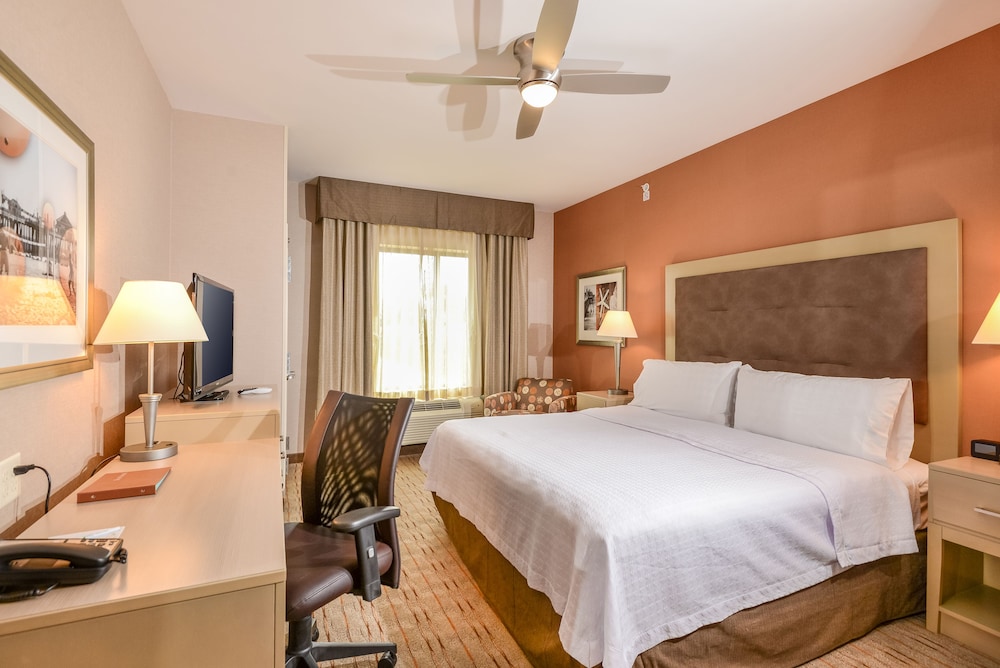 1 Bedroom, 1 King Bed/Sofa Sleeper, Premium