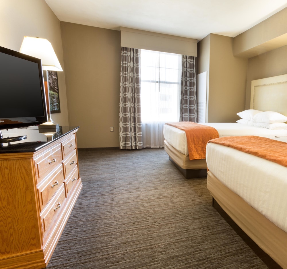 Drury Inn & Suites San Antonio North Stone Oak, Billede 4