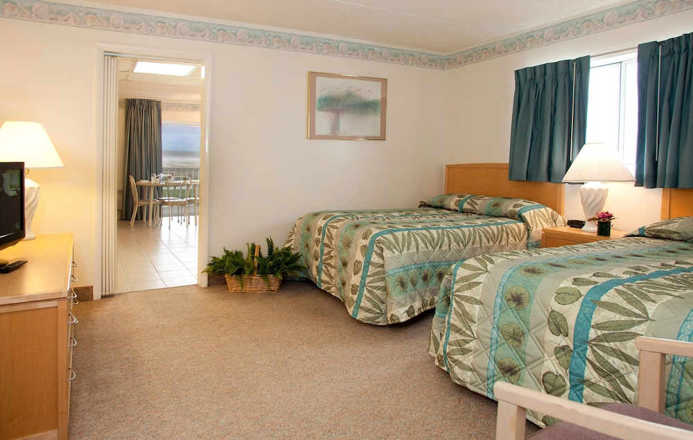 Suite, 1 Bedroom, Oceanfront (C/D) - Photo 1