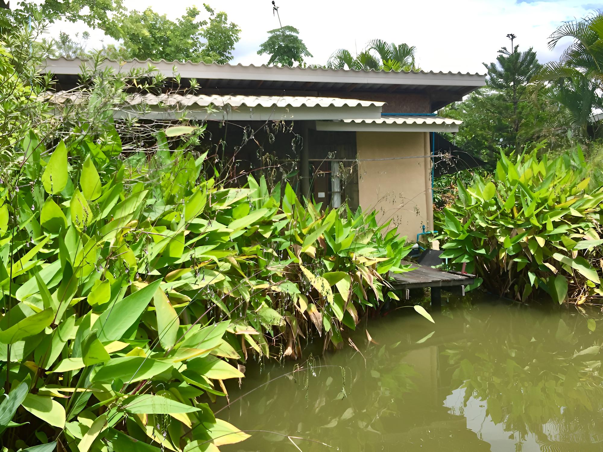Standard Bungalow with Fan (Twin Bed) photo 3