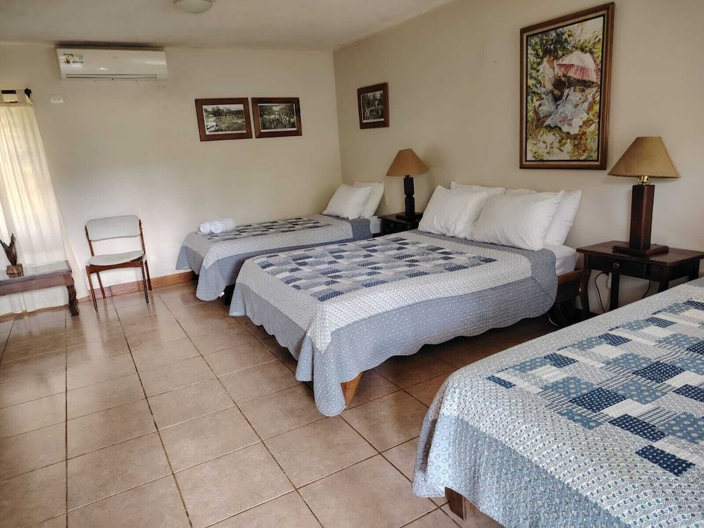 Comfort Triple Room, Terrace, Garden View
