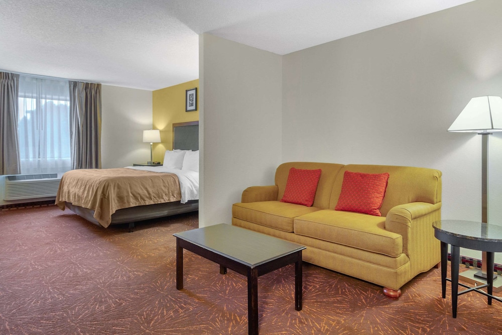 Suite, 1 King Bed photo 3