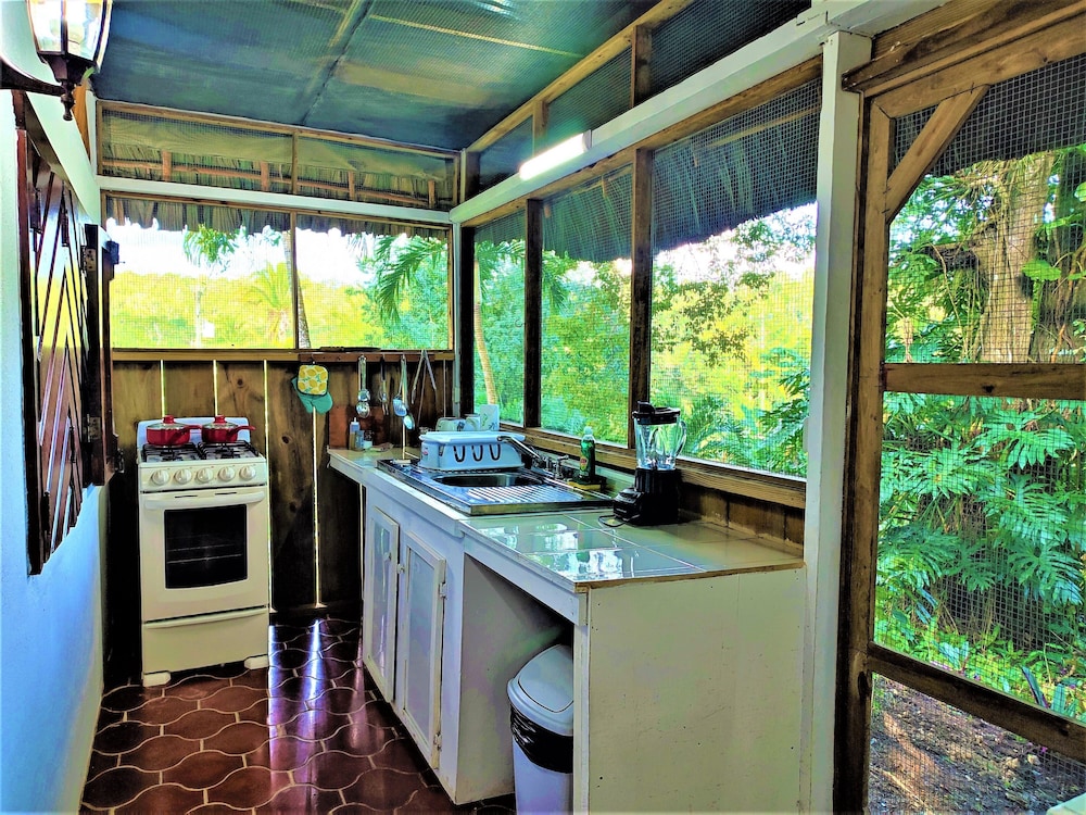 Junior Cabin, 1 Double Bed, Pool Access, Garden View photo 3