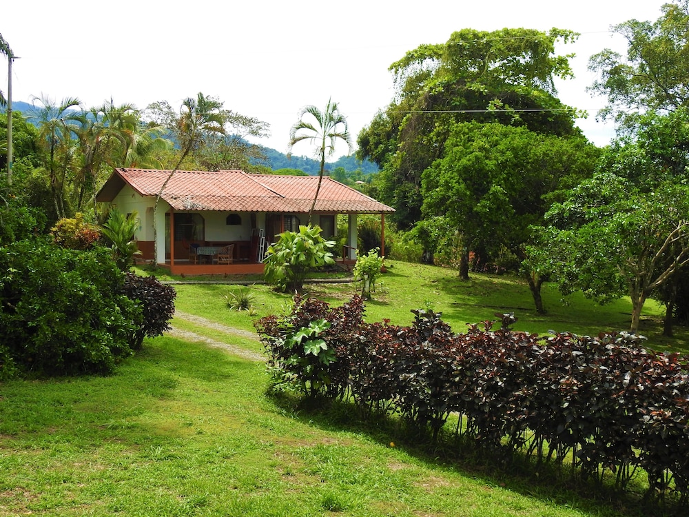 Standard Cabin, 1 Double Bed, Garden View (01) photo 2