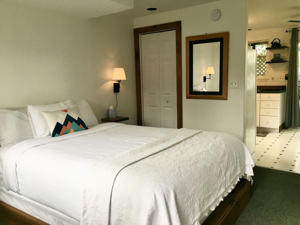 Superior Studio Suite, 1 Queen Bed, Kitchen, Mountain View photo 2