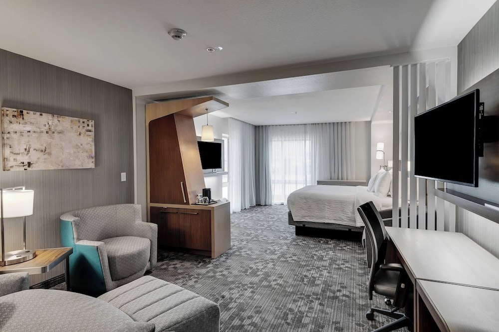 Executive Suite, 1 King Bed with Sofa bed