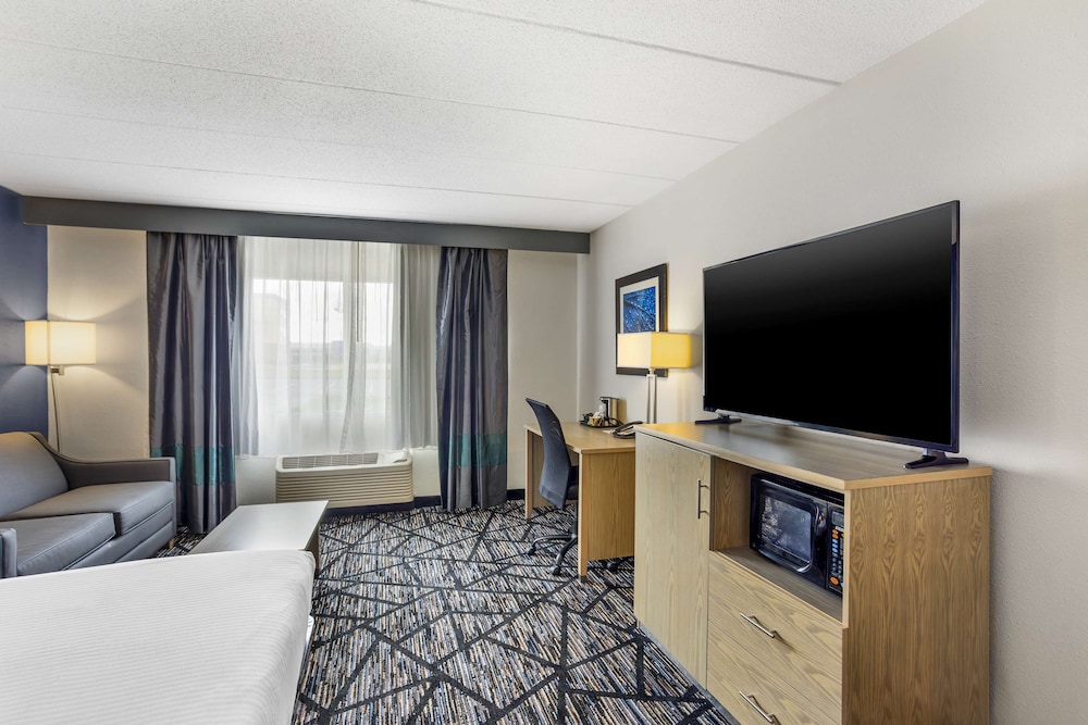 Standard Room, 1 King Bed, Non Smoking, Refrigerator & Microwave - Photo 3