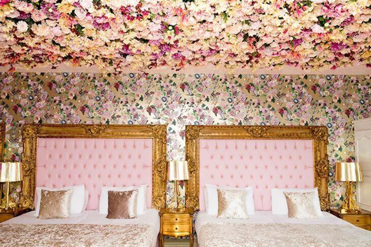 Themed Room (Sleeping 6) photo 2