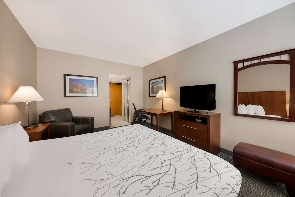 Standard Room, 1 King Bed, Non Smoking, Refrigerator & Microwave - Photo 2