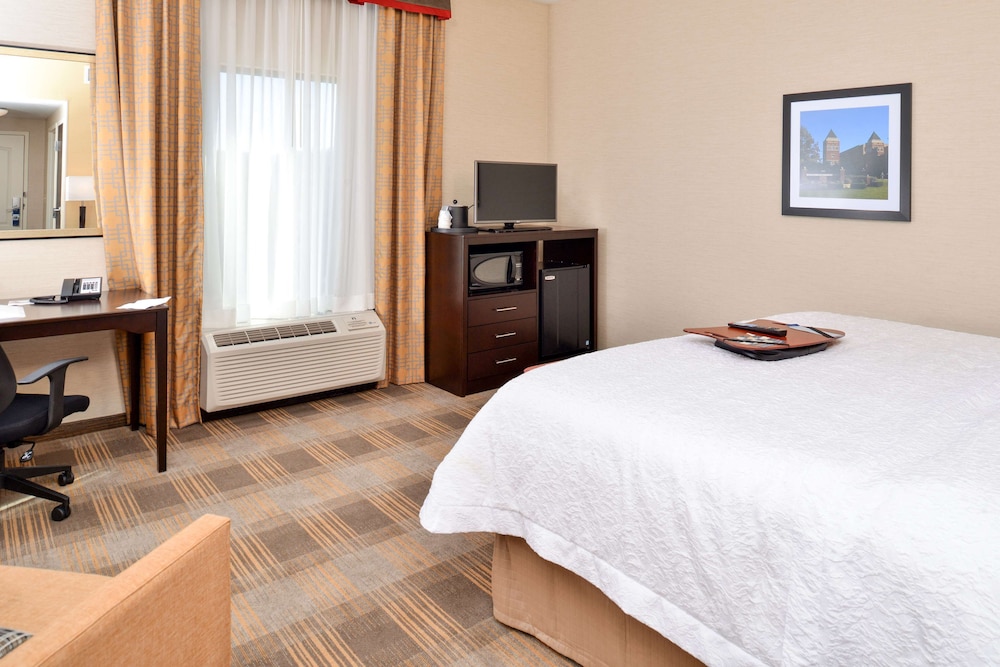 Room, 1 King Bed, Accessible, Bathtub photo 3