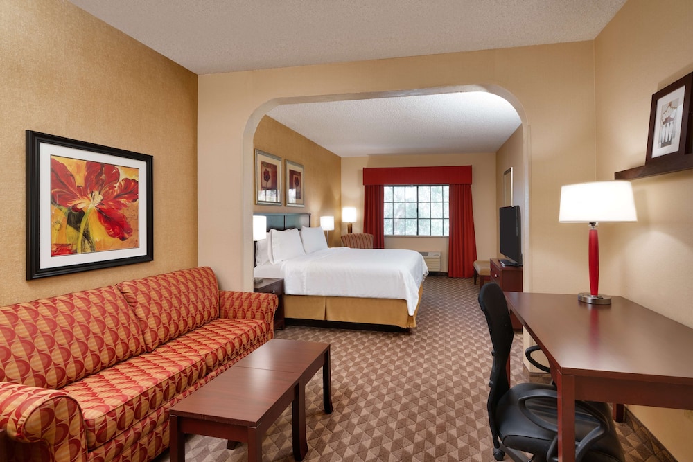Suite, 1 King Bed, Non Smoking (with Sofabed) - Photo 5