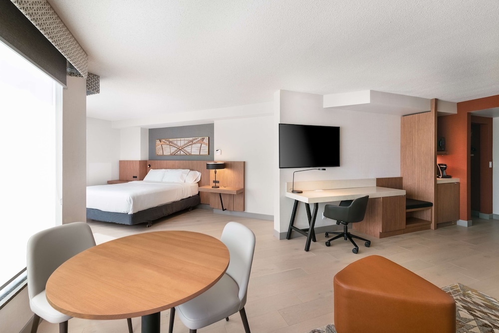 One King Evolution Jr Suite