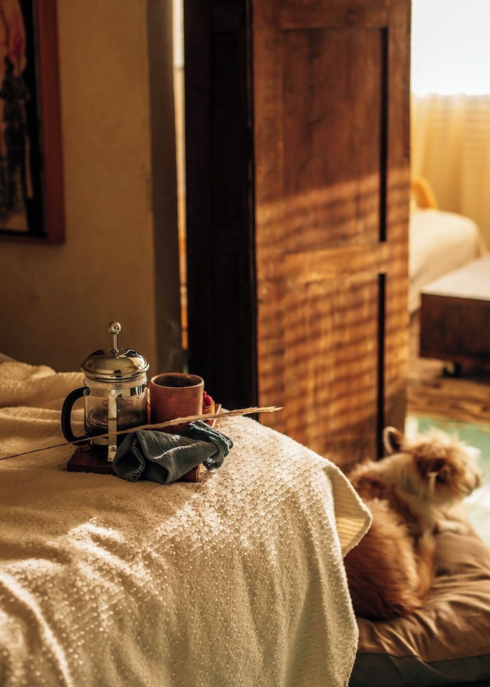 Suite photo 2