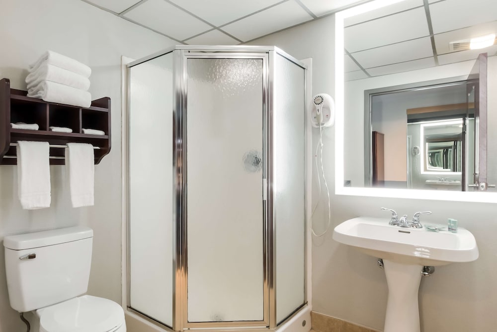 Standard Room, 1 King Bed, Non Smoking, Jetted Tub (With Sofabed) photo 3