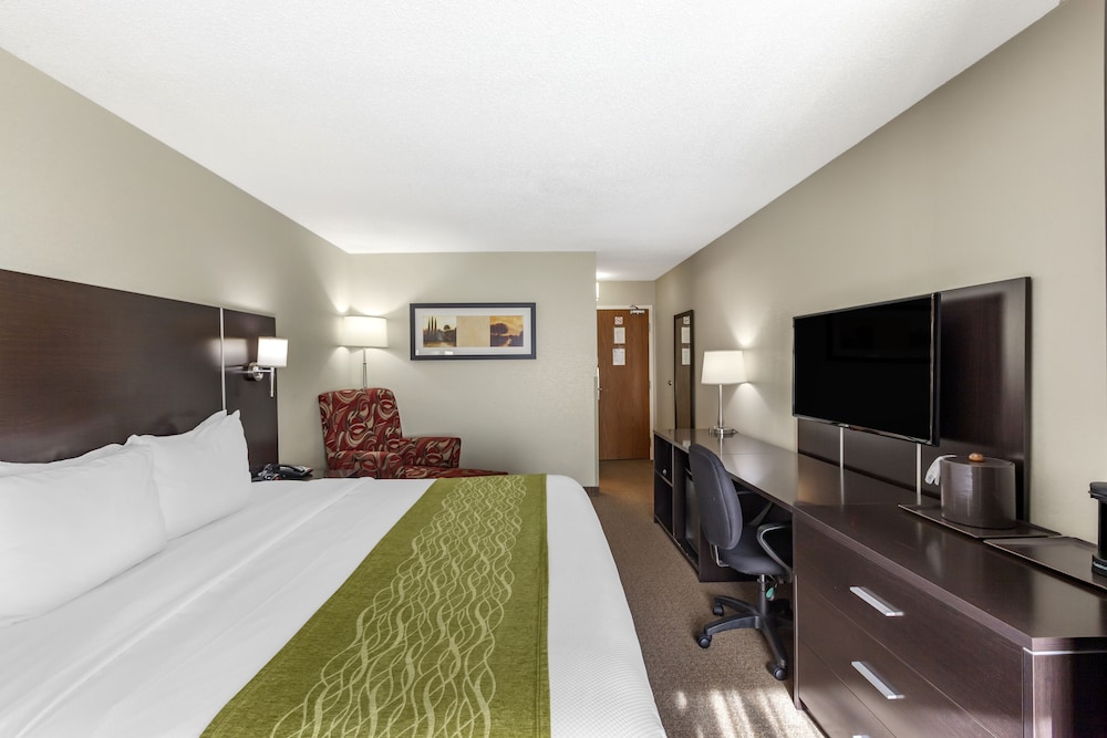 Business Room, 1 King Bed, Non Smoking - Photo 3