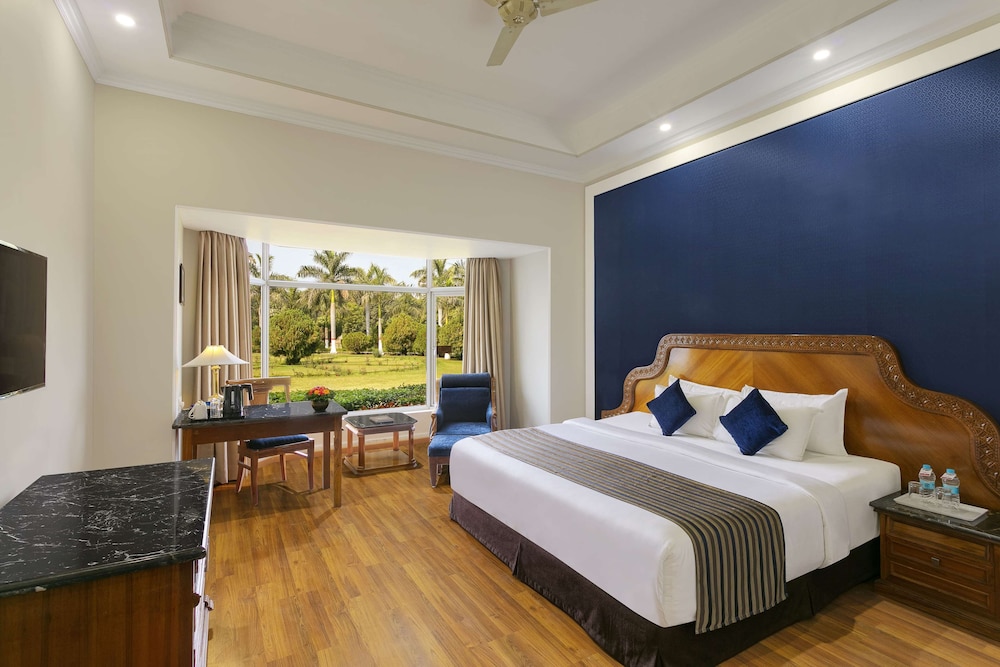 Deluxe Room, 1 King Bed - Photo 1