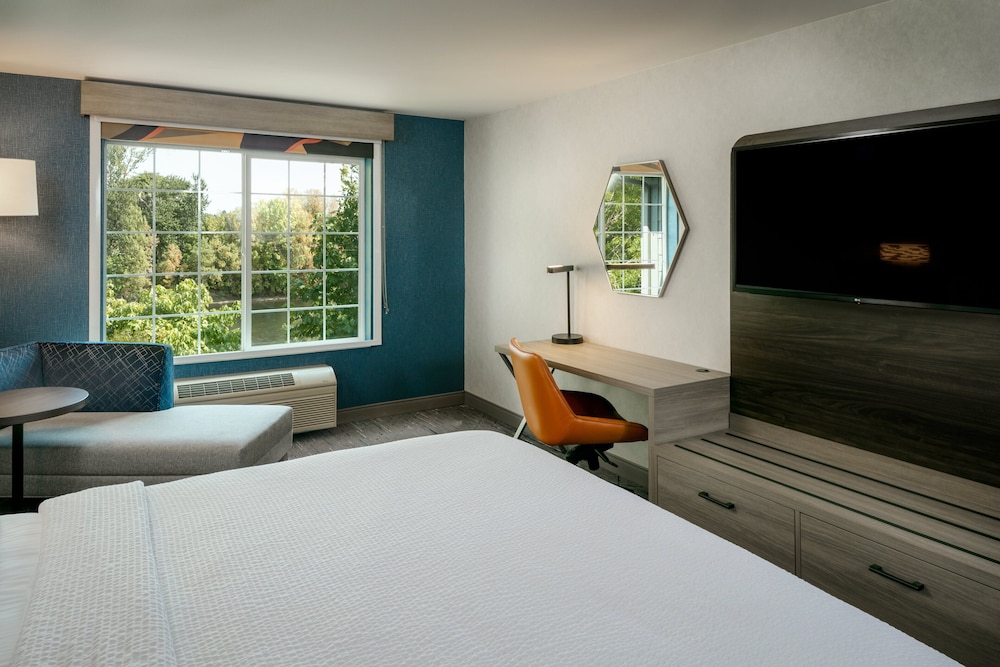 Suite, 1 King Bed with Sofa bed - Photo 2