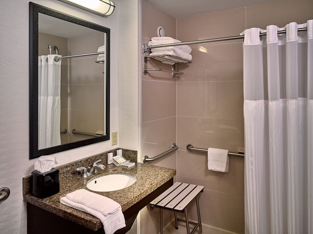 Single Queen, Junior Suite, Pullout, Roll-In Shower - Photo 6