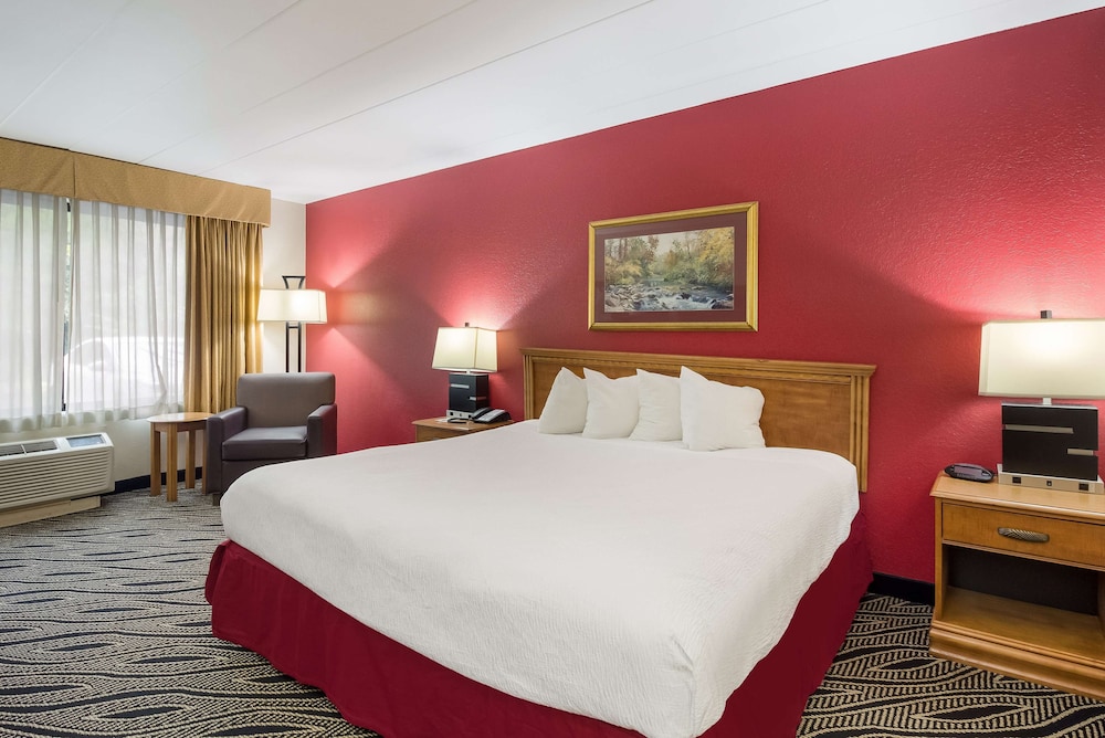 Standard Room, 1 King Bed, Accessible, Non Smoking photo 2