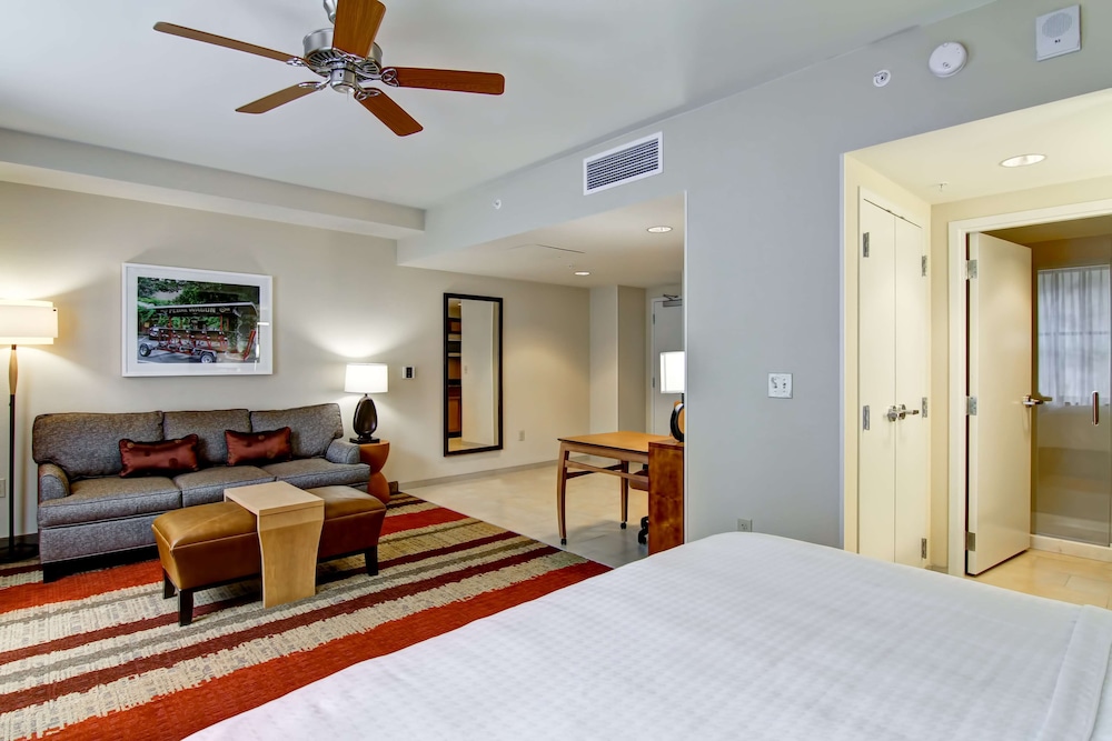 Studio Suite, 1 King Bed, Accessible, Bathtub photo 1