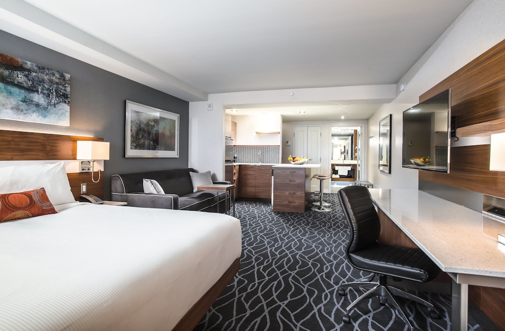 Studio Suite, 1 King Bed with Sofa bed