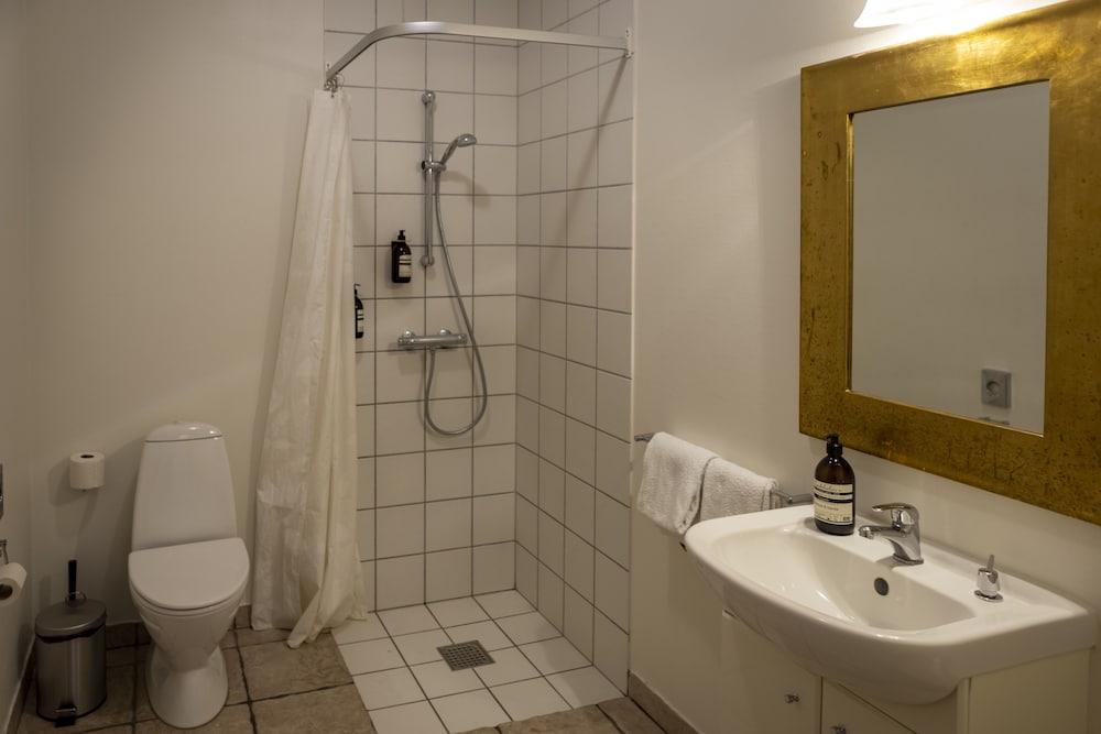 Apartment, 2 Bedrooms, Private Bathroom photo 3