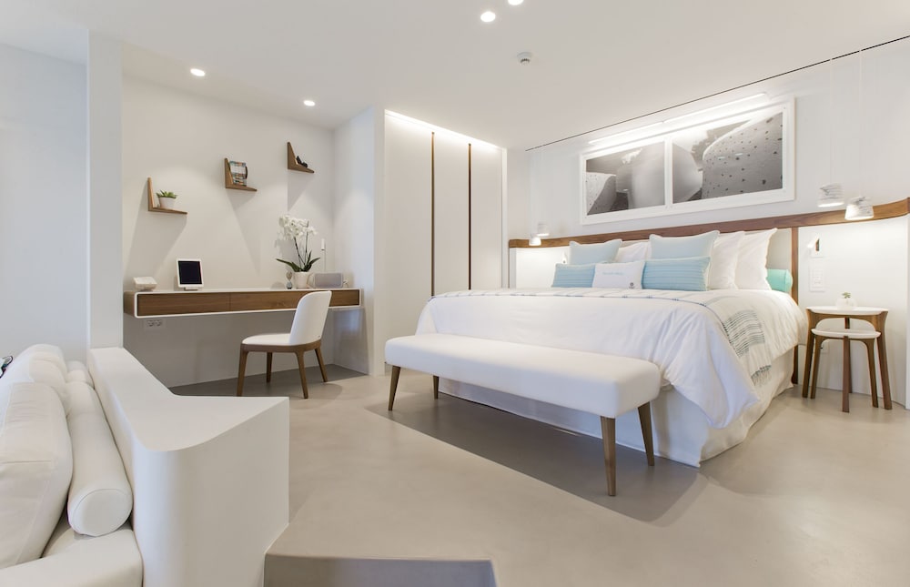 Suite (VIP with Plunge Pool) - Photo 1
