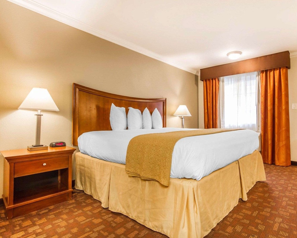 Business Room, 1 King Bed, Non Smoking - Photo 3