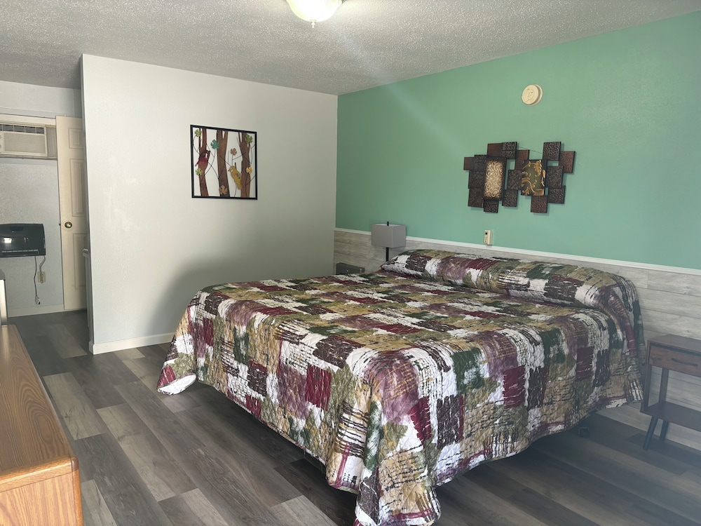 Room, 1 King Bed photo 1