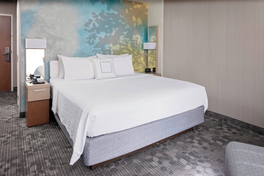 Room, 1 King Bed with Sofa bed (Mobility/Hearing Access, Roll-In Shwr)