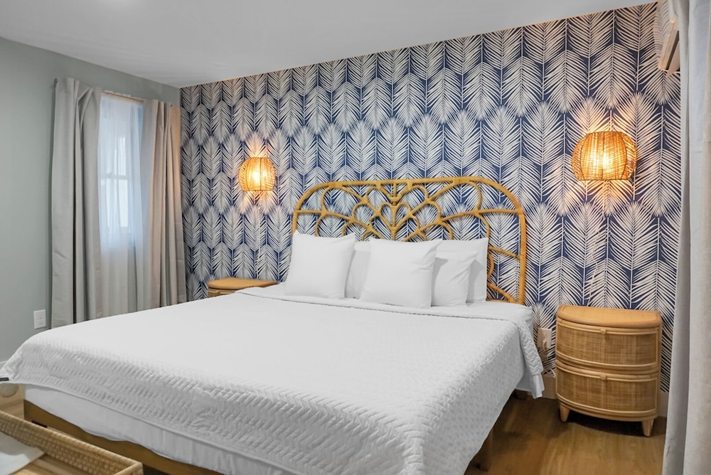 Single Room, 1 King Bed, Non Smoking, Pets Allowed photo 1