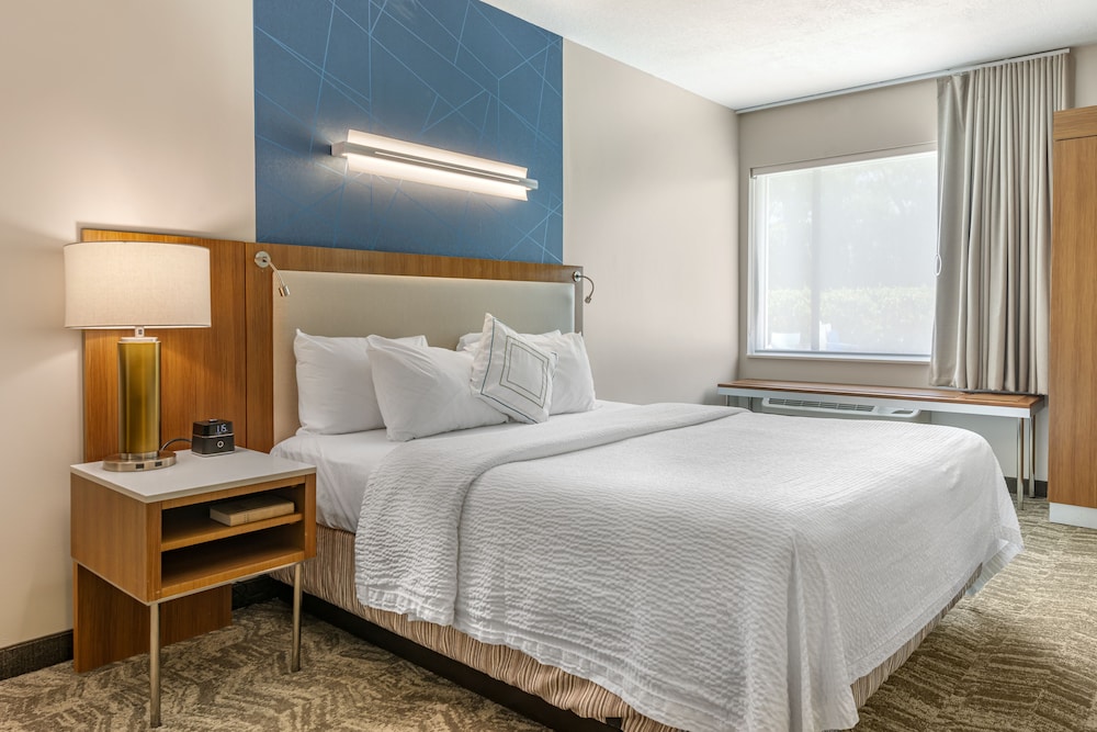 Studio, 1 King Bed with Sofa bed (Mobility/Hearing Access, Roll-in Shwr)