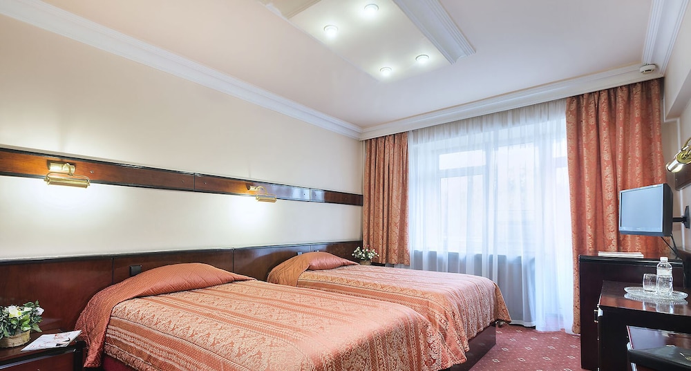 Business Twin Room photo 3
