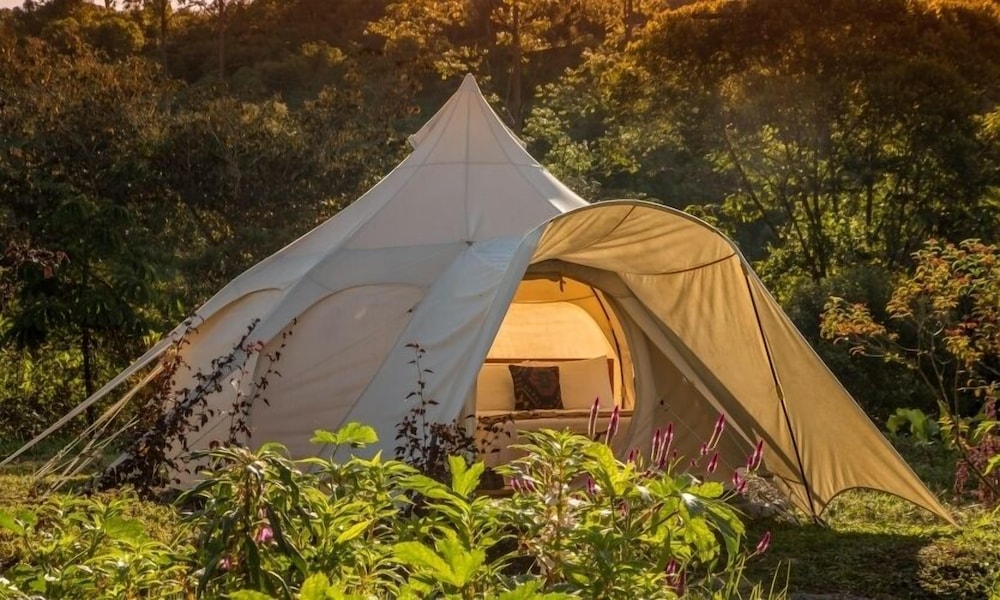 Signature Lotus Belle Tent Double Bed photo 2