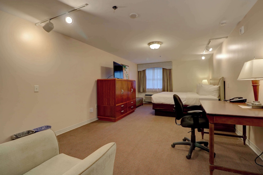 Presidential Room with 1 King Bed photo 2