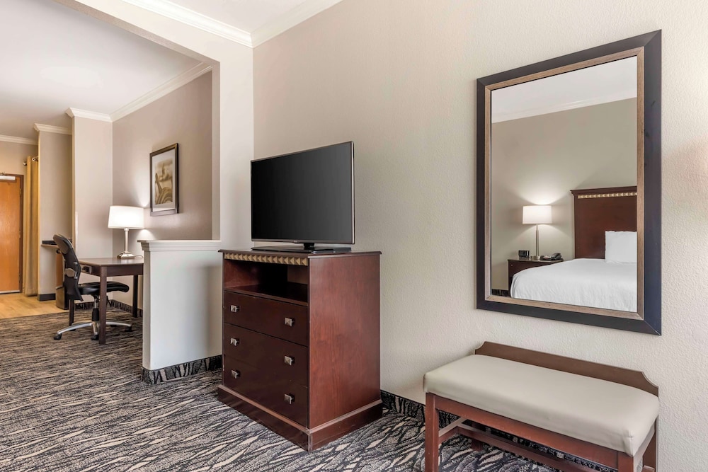 Standard Room, 1 King Bed, Accessible, Refrigerator & Microwave (with Sofabed) - Photo 3