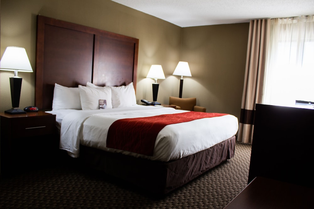 Standard Room, 1 King Bed, Non Smoking (No Pets) - Photo 2