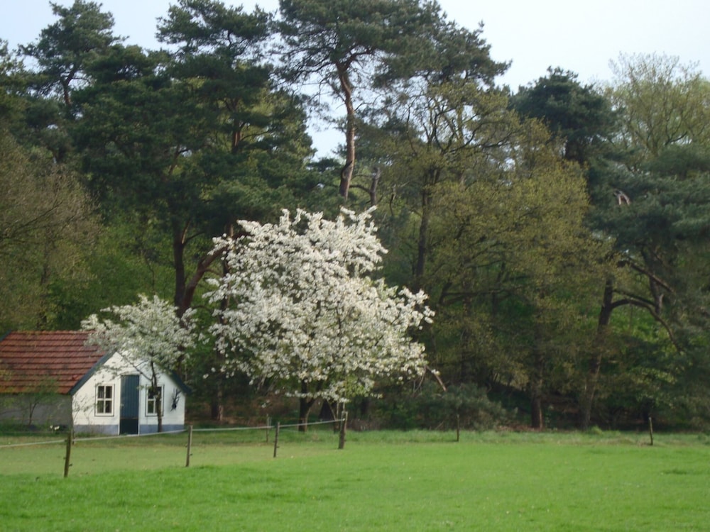 House photo 3