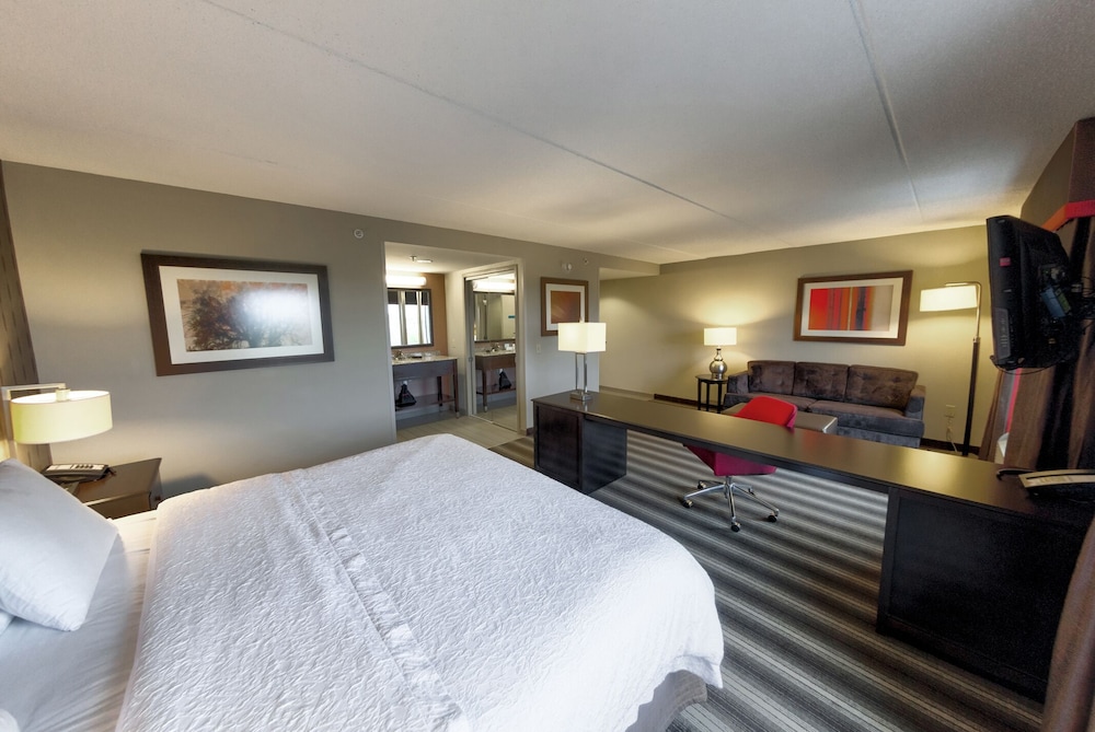 Suite, One King Bed, Non-Smoking photo 2