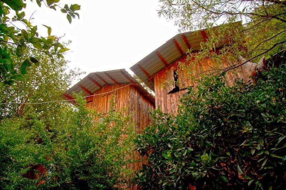 Tree House Double Use ( No Air Conditioner, No Toilet, No Bathroom in room) photo 1
