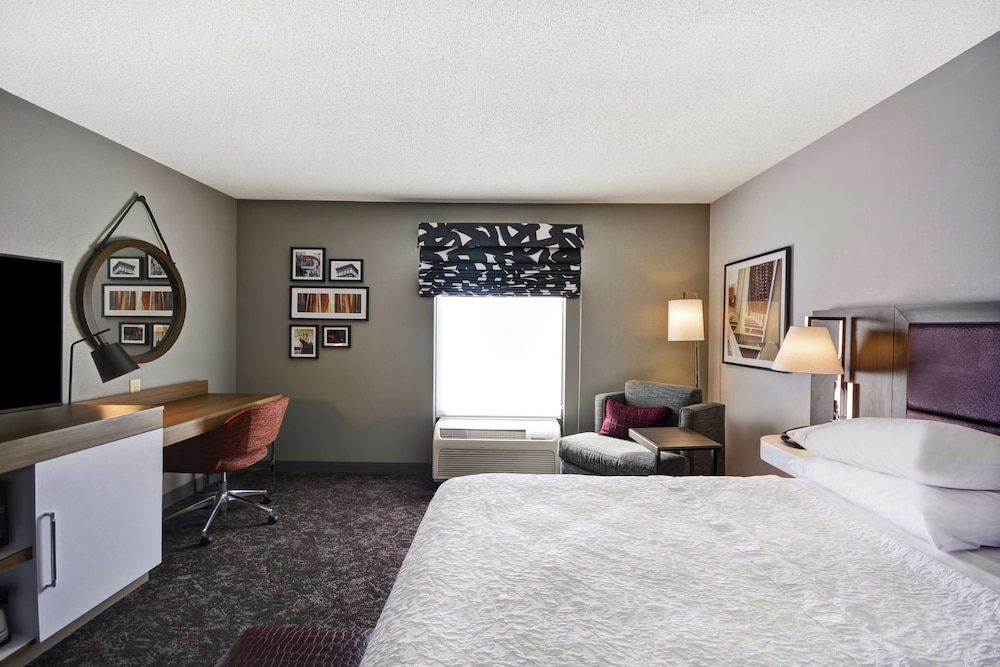 Room, 1 King Bed, Accessible (Roll-In Shower) - Photo 3